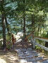 precipitous stairs.jpg